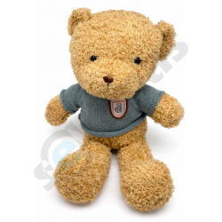 Pliušinis meškiukas su slapta kamera Wifi