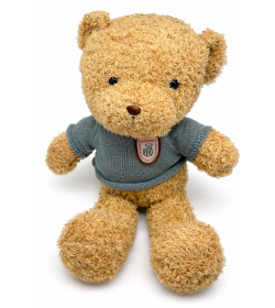 Pliušinis meškiukas su slapta kamera Wifi