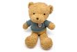 Pliušinis meškiukas su slapta kamera Wifi