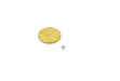 Slaptos ausinės Gold