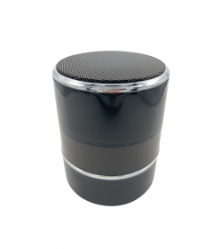 Užmaskuota IP kamera bluetooth kolonėlėje